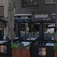 Gossimijne Veghel