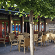 De Gouden Leeuw Bergeijk