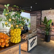 De Bakker en de Schenker Roden