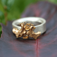 Atelier Hellen Muller